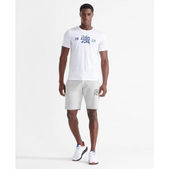 Superdry pánské teplákové kraťasy Training Boxing Yard - Šedá