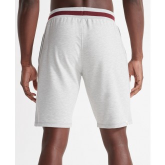 Superdry pánské teplákové kraťasy Training Boxing Yard - Šedá